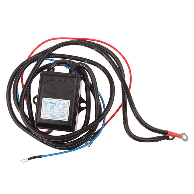 220V Continuous Ignition Controller Parts Pulse Igniter Black Box Ignition Unit Burner Oven Boiler Grill Gas Stove Accessories