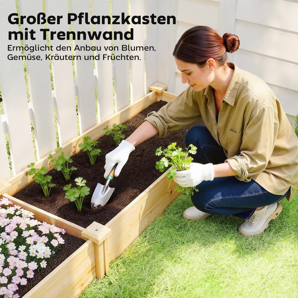 Raised Garden Bed Wood, Planting Bed with Partition, Open Bottom, Cold Frame Garden Bed, 235 x 66 x 26 cm, Natural Wood