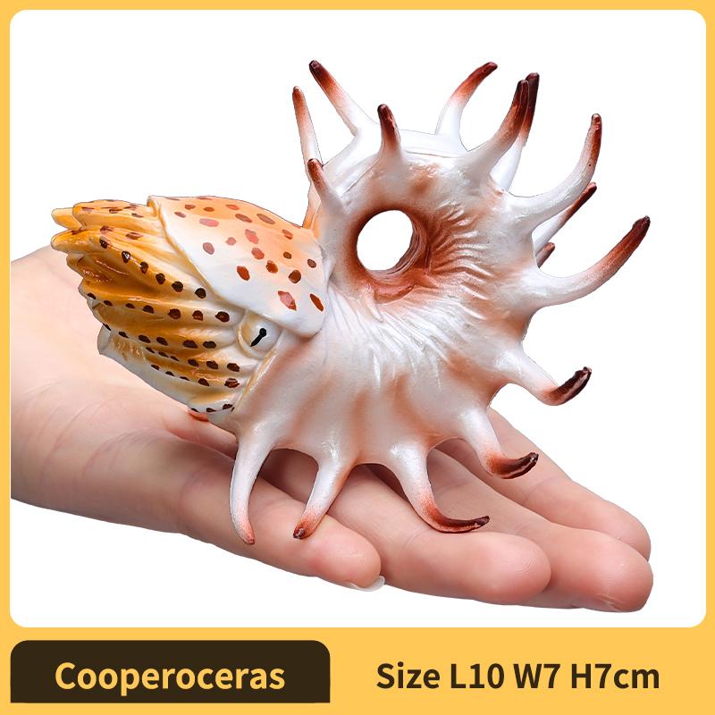 

Nautilus ammonoid Figurine Plastic Model Figure - Fun Educational Play Toy for Boys, Girls & Kids Ages 18M+Nautilus