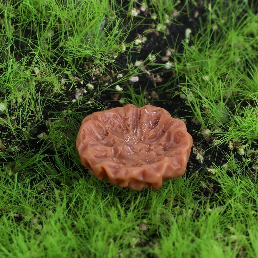 Fairy Garden Cute Tiny Mini Hen Chick Egg Henroost Resin Decoration Miniature Figurine Ornament