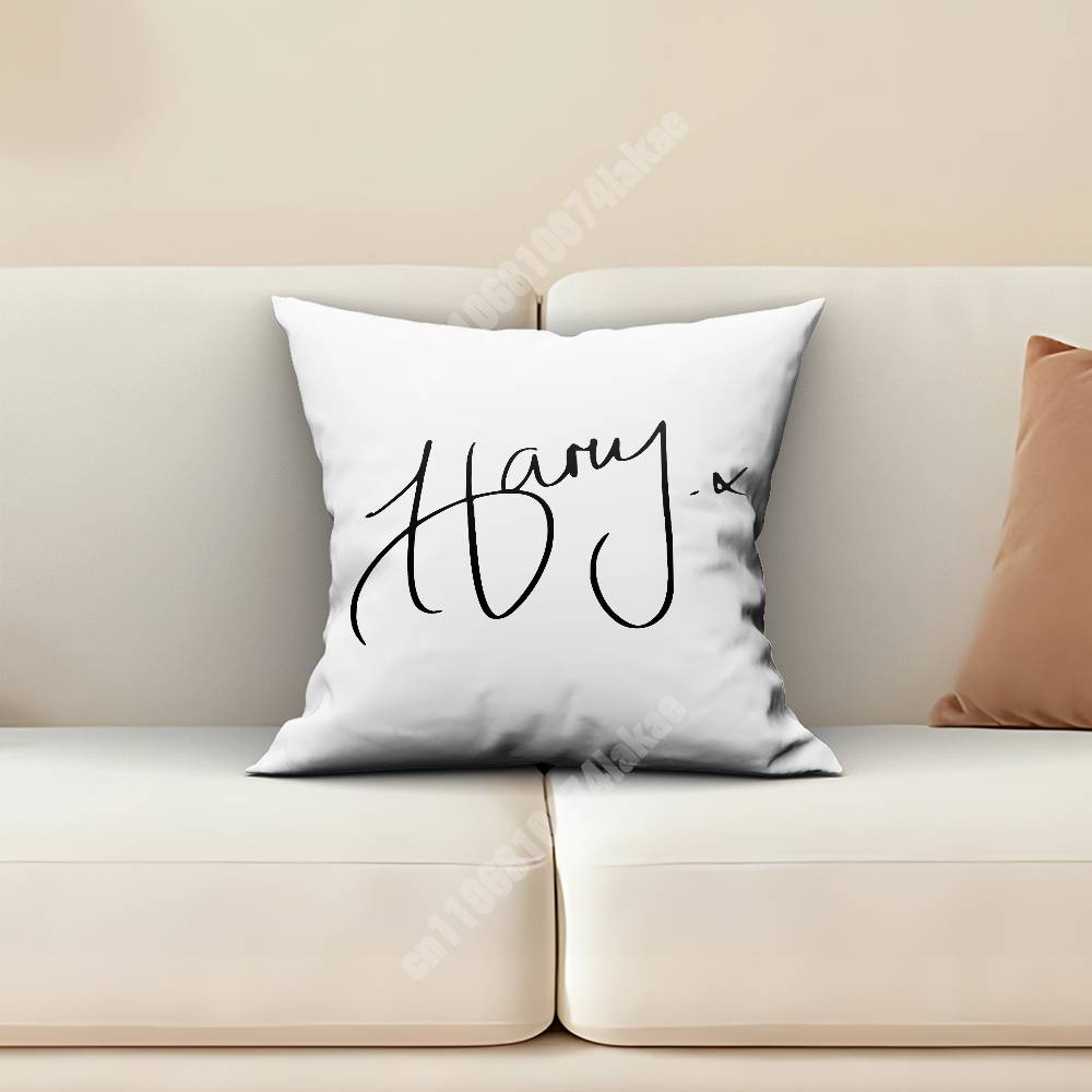 HHarry SStyles Kiss All The Time Disco Occasionally Sofa Couch Pillow Cover Cushion Case Cozy Bedroom Accent Studio Furnishing