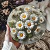 Vintage Daisy Wreath Round Metal Wall Sign, Rustic White Flower Green Leaf Decor for Home Indoor Outdoor Wall Art