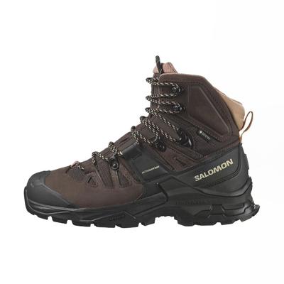 QUEST 4 GORE TEX Round Tip High Top Mountaineering Shoes Women's Brown L47453300