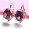 Wedding Ruby Earings Copper Plated Rose Gold Inlaid Oval Zircon Earrings for Women Engagement Zircon Gift