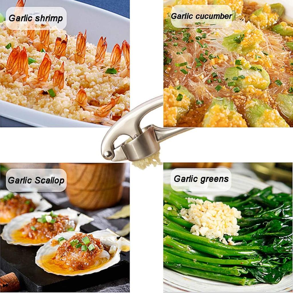 Garlic Press, Metal Garlic Crusher Mincer for Garlic & Nuts with Pearl Nickel Color, Professional Garlic Ginger Press Tool In Kitchen from DSafer,