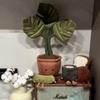 Albaricoque Cordero 45Cm Concha De Tortuga Creativa Serie De Plantas De Bambú Muebles De Juguete Adornos Muñecas Lindas Set