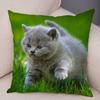 Cute Pet Animal Print Pillowcase Funny  Cat  Decoration Car Sofa Home Cushion Cover