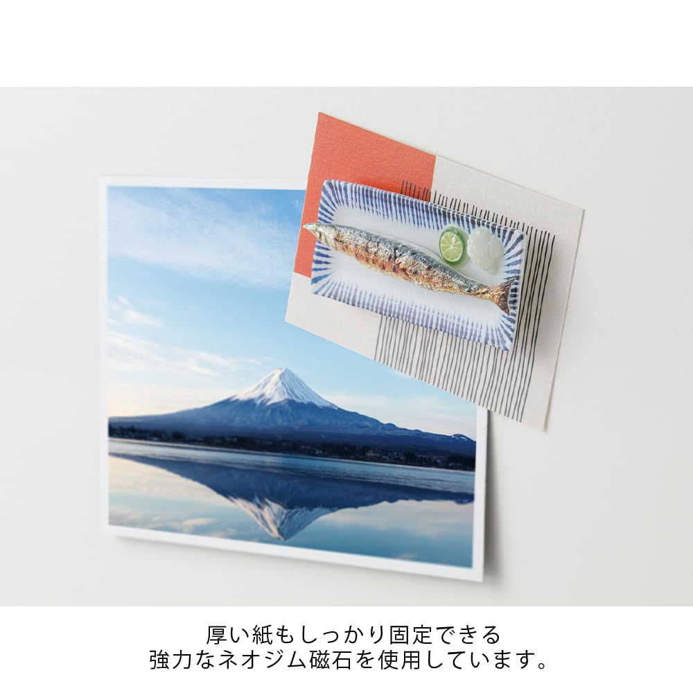 Midori Sanma Magnet 43412006 (Pacific saury) (1 piece)