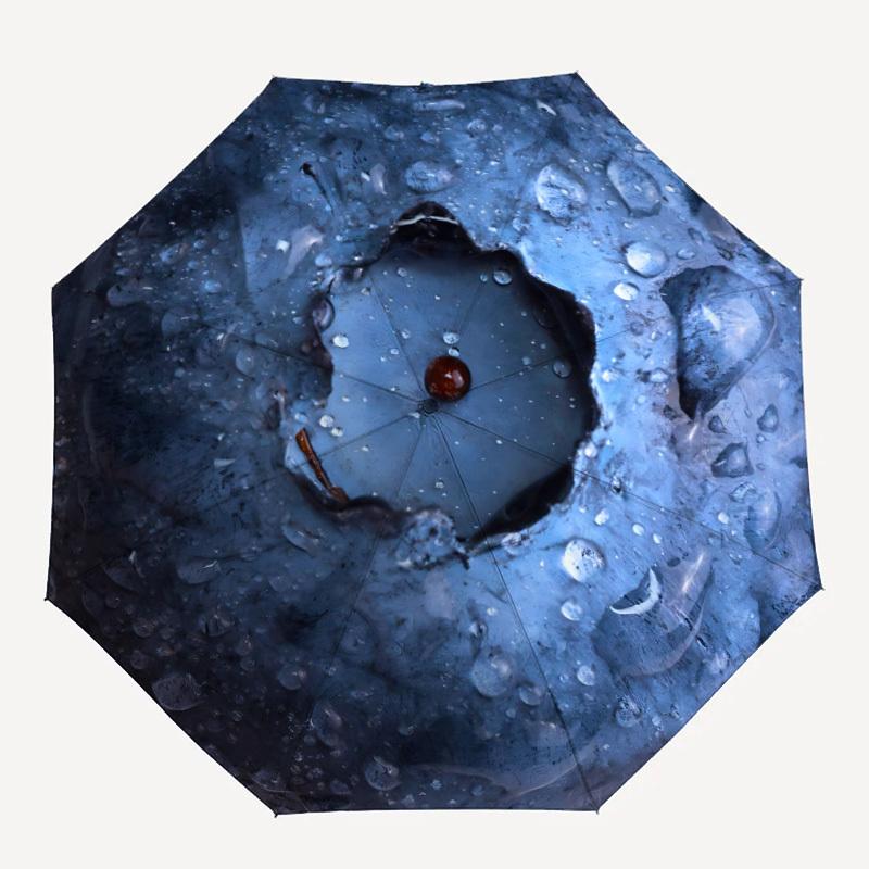 

1pc Blueberry Automatic Opening/closing Umbrella with Auto Open/Close, Perfect Gift for Friends, Durable Plastic Handle yy250801203