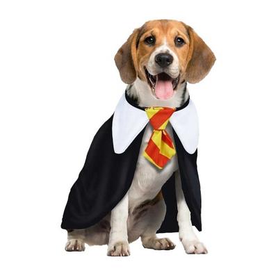 Fiestas Guirca Magischer Studenten-Hund Kostüm