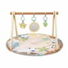 Play Mat Ingenuity WonderWood 81,3 X 81,3 X 47 Cm Multicolour
