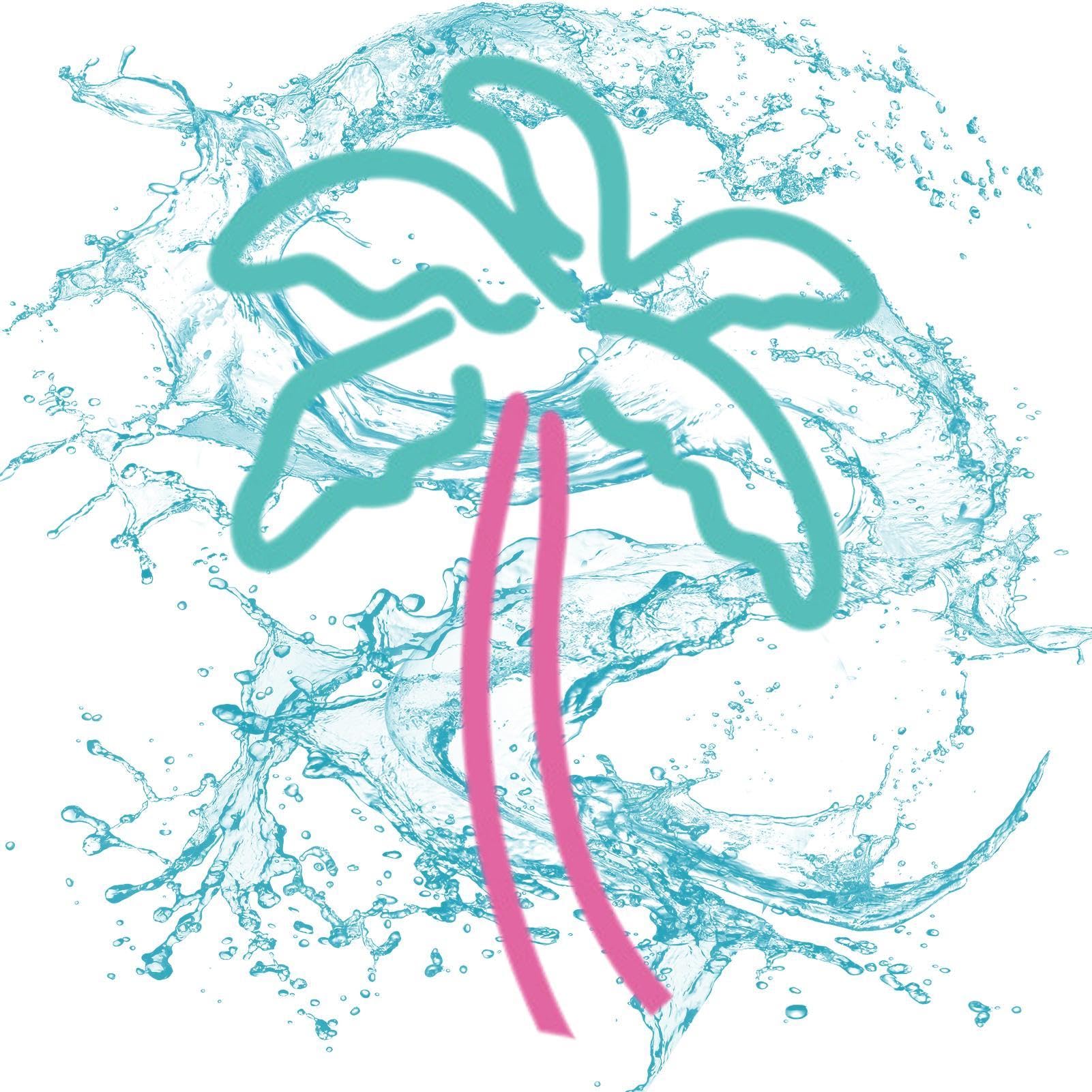 

Car Bumper Sticker, Window Car Sticker | Coconut Palm Sunset Decal, Colorful Never Fade Please refer to the description