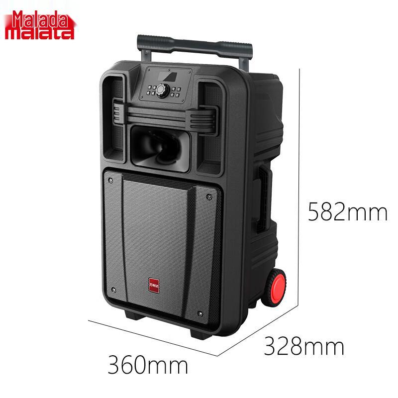 Malata M+9051C 12-inch Outdoor Portable KTV Speaker