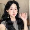 Female Niche Unique New Chinese Retro Long Earrings