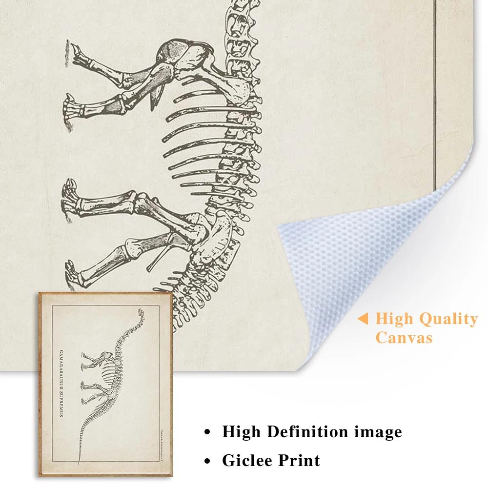 Canvas Painting Nordic Posters And Prints Vintage Dinosaur Skeleton Paleontology Wall Art Wall Pictures For Boy Kids Room Decor