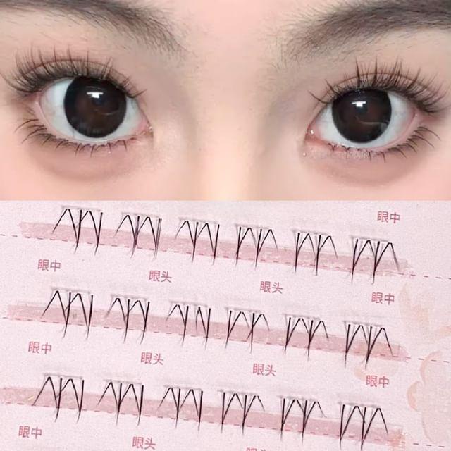 denivyse - Натуральные пучки накладных ресниц, мультипак Black - One Size