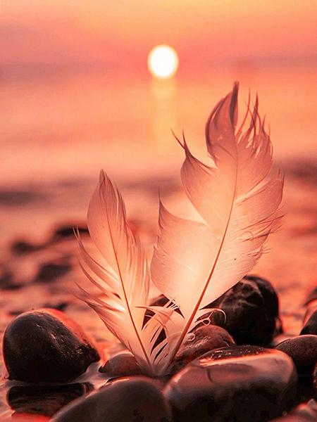 5D DIY Diamond Painting Sunset Cross Stitch Kit Diamond Embroidery Feather Mosaic Scenery Sale Picture Rhinestones Art