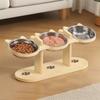 15 ° Slant Cat Food Water Bowl Anti-flip Elevated Pet Feeder Bowl  Household