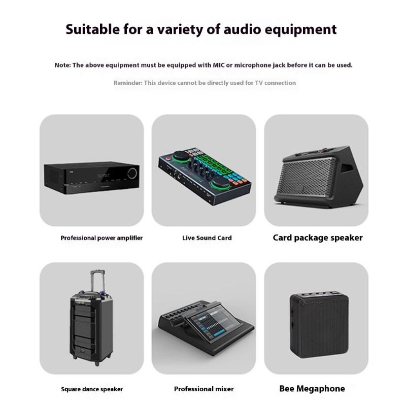 2.4Ghz Microphone Wireless Converter Transmitter and Microphone Receiver Dynamic Condenser Microphone Universal