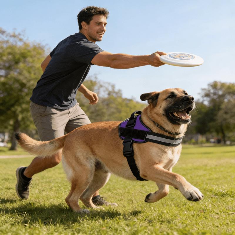Anti Pull Harness Adjustable Reflective Breathable Tactical Vest for Small and Large Dogs Outdoor Training