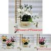 Butterfly Orchid Artificial Plant For Photography Decor And Home Styling