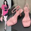 Sandals girl summer 2025 new fairy style thick heel with design sense niche square head women's high heel