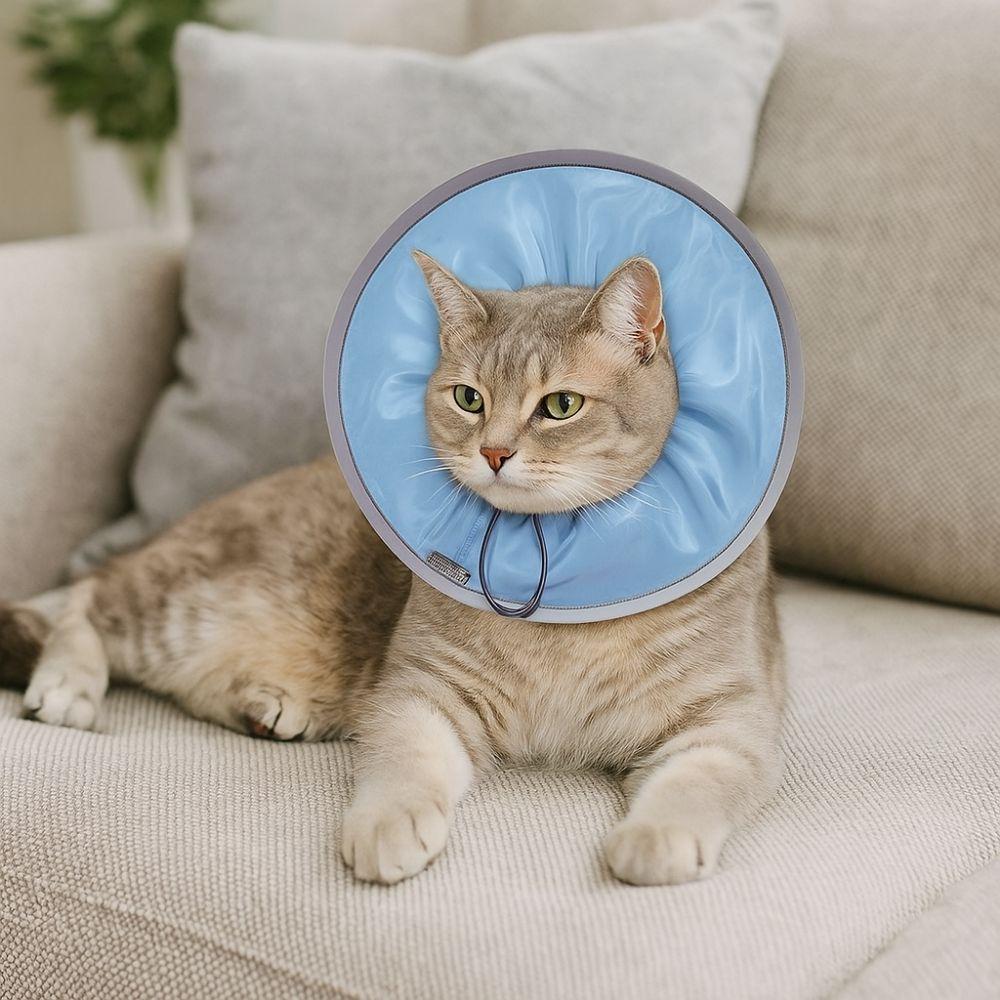 Anti-licking Pet Elizabethan Collar Waterproof Adjustable Cat Protective Collar Soft Anti Biting Small Dog Headgear
