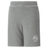 Puma Shorts Active Sports Tr 67320703 R 128