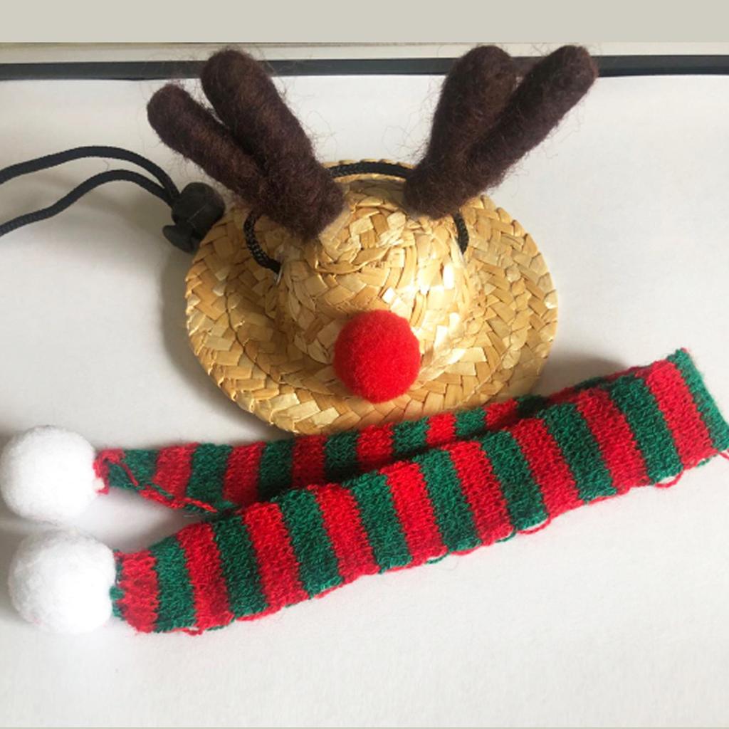 Bearded Dragon Santa Hat Cute Soft Scarf Size Bright Colors Santa Hat with Scarf