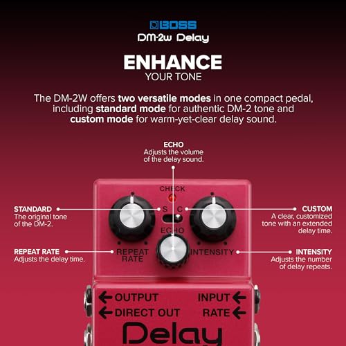 BOSS Waza Craft Series Delay DM-2W
