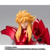 Saint Cloth Myth EX Eta Star Benetner Schmiede PVC ABS Painted Figure Approximately 170mm Tall & & Die-cast (Saint Seiya) -