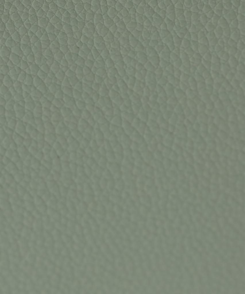 Wallet Bag Ladies Bag 526764 Ladies Midori [Petit Honfleur]