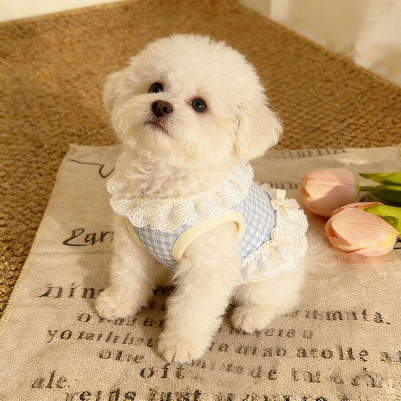 Summer Pet Lace Skirt Lightweight Cat And Dog Bow Lace Vest Thin Plingham Cute Princess Clothing Cat Dog Clothes Pet Supplie
