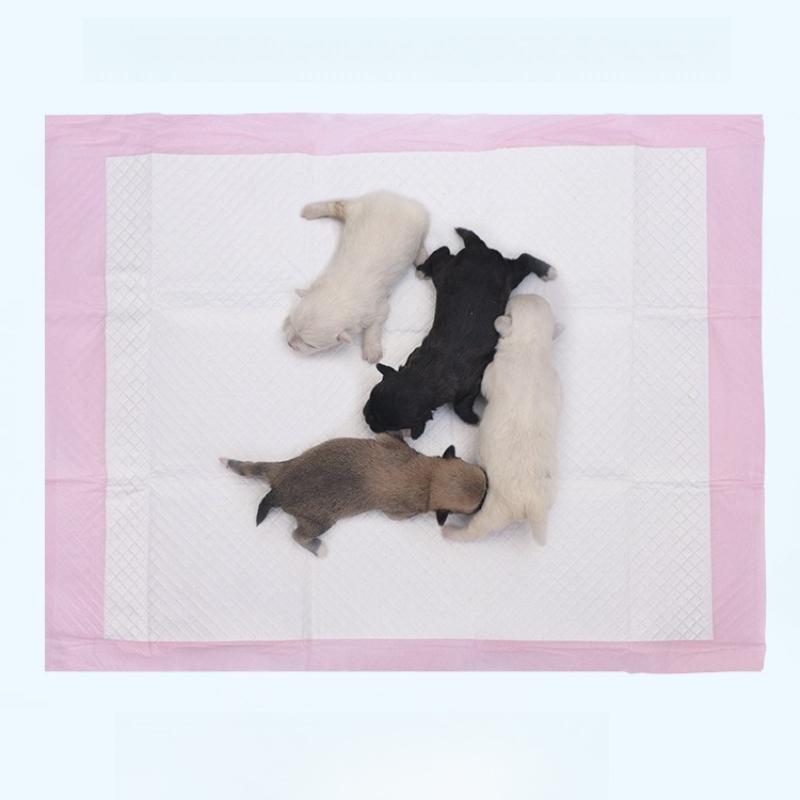 Pink Thicken Dog Urine Pad Water Absorbing Sanitary Mat Disposable Puppy Training Pee Pads Quick Dry Surface Mat Clean Cushion Cat Production Mattress