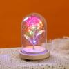 Rose immortal flower glass cover tabletop ornament Christmas atmosphere light birthday gift exquisite glass cover gold leaf flower