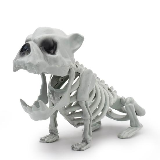 Halloween Skeleton Animal Decoration Creepy Cat/Dog/Bird/Rat/Goat Head Plastic Bones for Courtyard Graveyard Halloween Decor