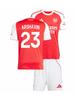 Fußballtrikot Arshavin Arsenal