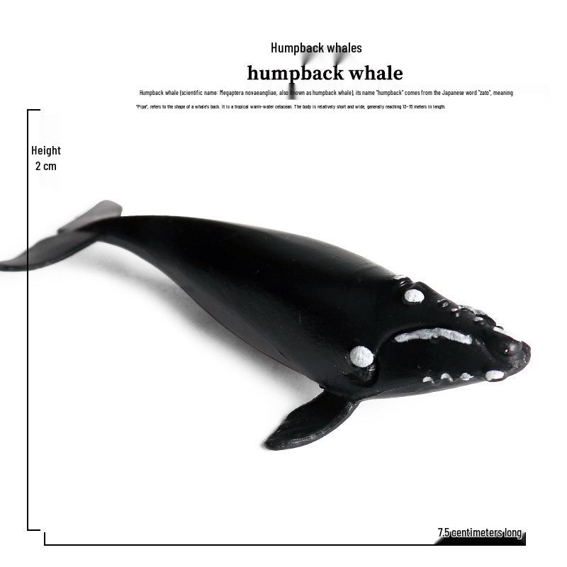 Children's Marine Animal Toy Set: Megalodon, Beluga, Octopus, Turtle, Dolphin & Manta Ray