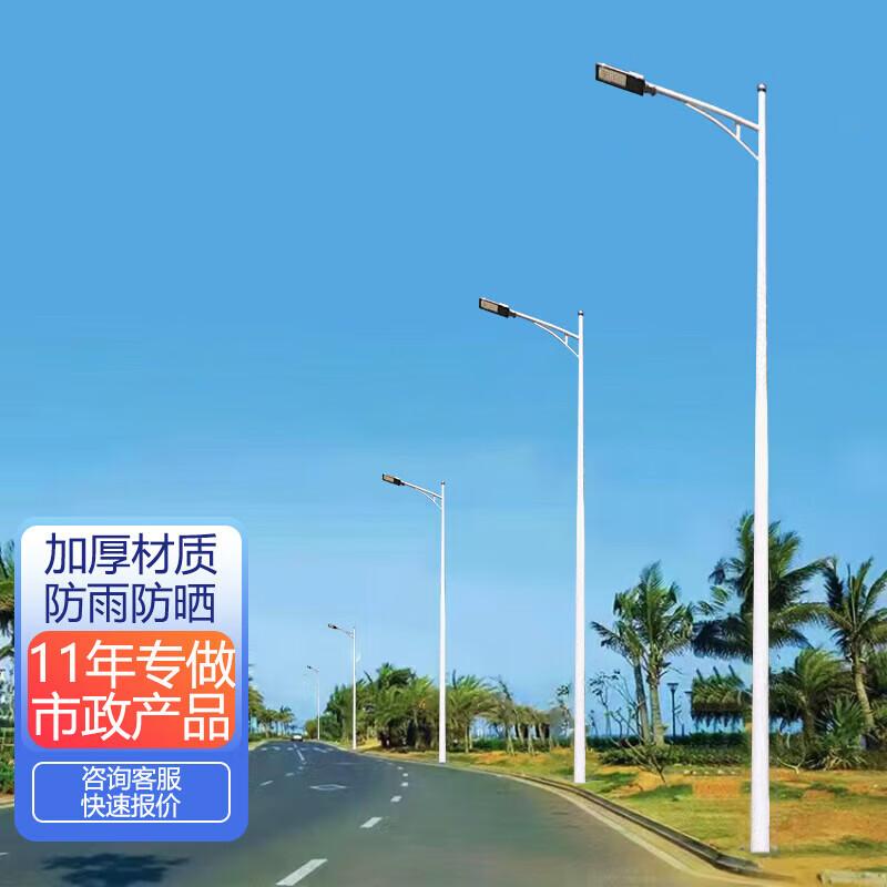 Wen Zhi Wu Mains-Powered LED Street Light