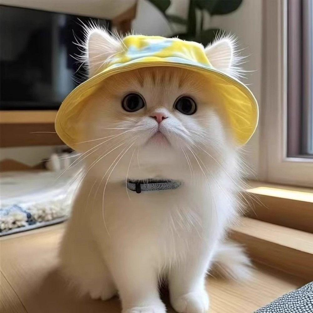 

Cotton Cat Sun Hat S/M/L Dog Fisherman Hat Summer Sunhat Cat Bucket Hat for Small Medium Cat S синій