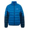 Regatta Mens Dalent Padded Jacket