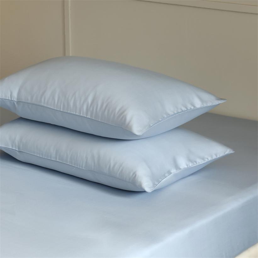 2pcs 100% Natural Mulberry Silk Pillow Case Real Silk Protect Hair Skin Pillowcase Any Size Customized Bedding Pillow Case Cover