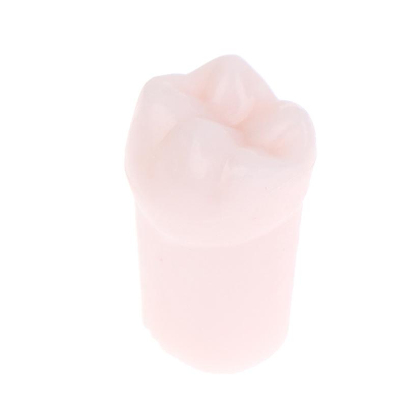 28Pcs Dental Typodont Teeth Replacement Detachable Screw-In Standard Teeth For Dentistry Preparation Training Teach