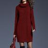 Womens Elegant Stretchy Long Sleeve Turtleneck Sweatshirt Short Dress
