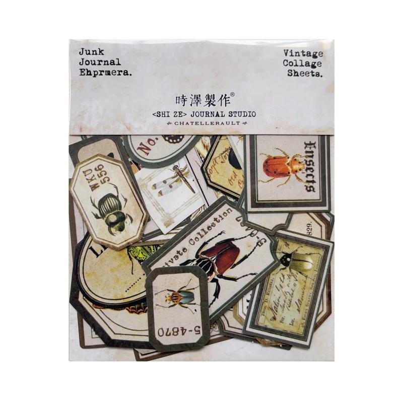 

Retro Insect Specimen Label English Sticker butterfly Diary Vintage Decoration Junk Journal material
