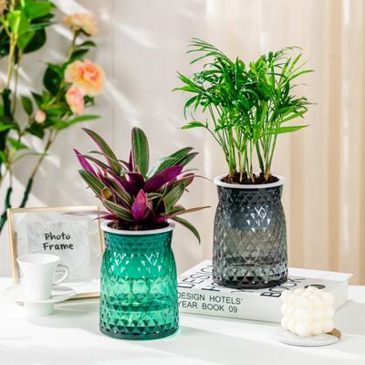 Deko & Wohnaccessoires – Vasen