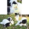 Cute Sheep Plush Toy With Pp Cotton Filling For Kids And Teens