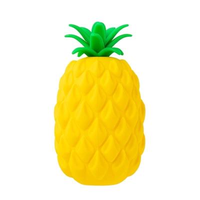 Pineapple Multipurpose Pouch (52008085)