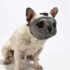 Short Snout Dog Muzzle Bulldog Muzzle,stop Dog For Biting