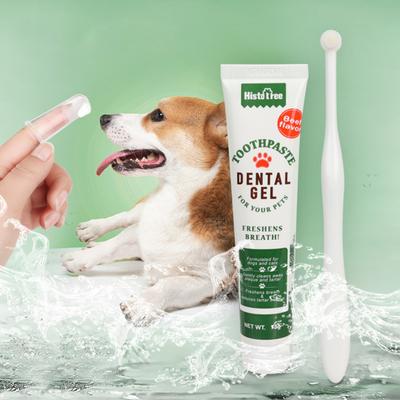Hunde – Varer til hundepleje
